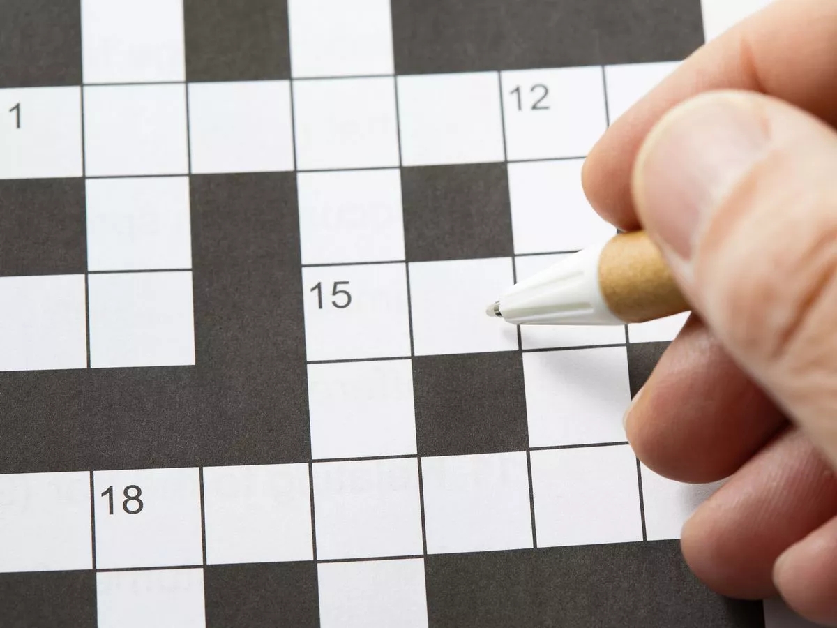 donnybrook crossword clue donnybrook crossword clue