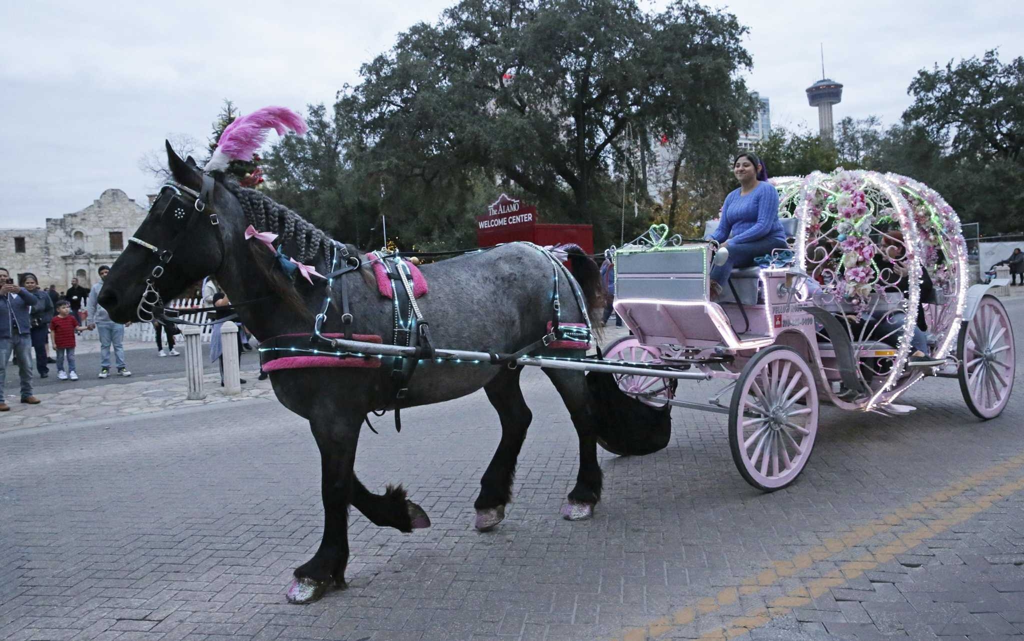San Antonio Debates Future Of Horse drawn Carriages San Antonio Debates Future Of Horse drawn Carriages
