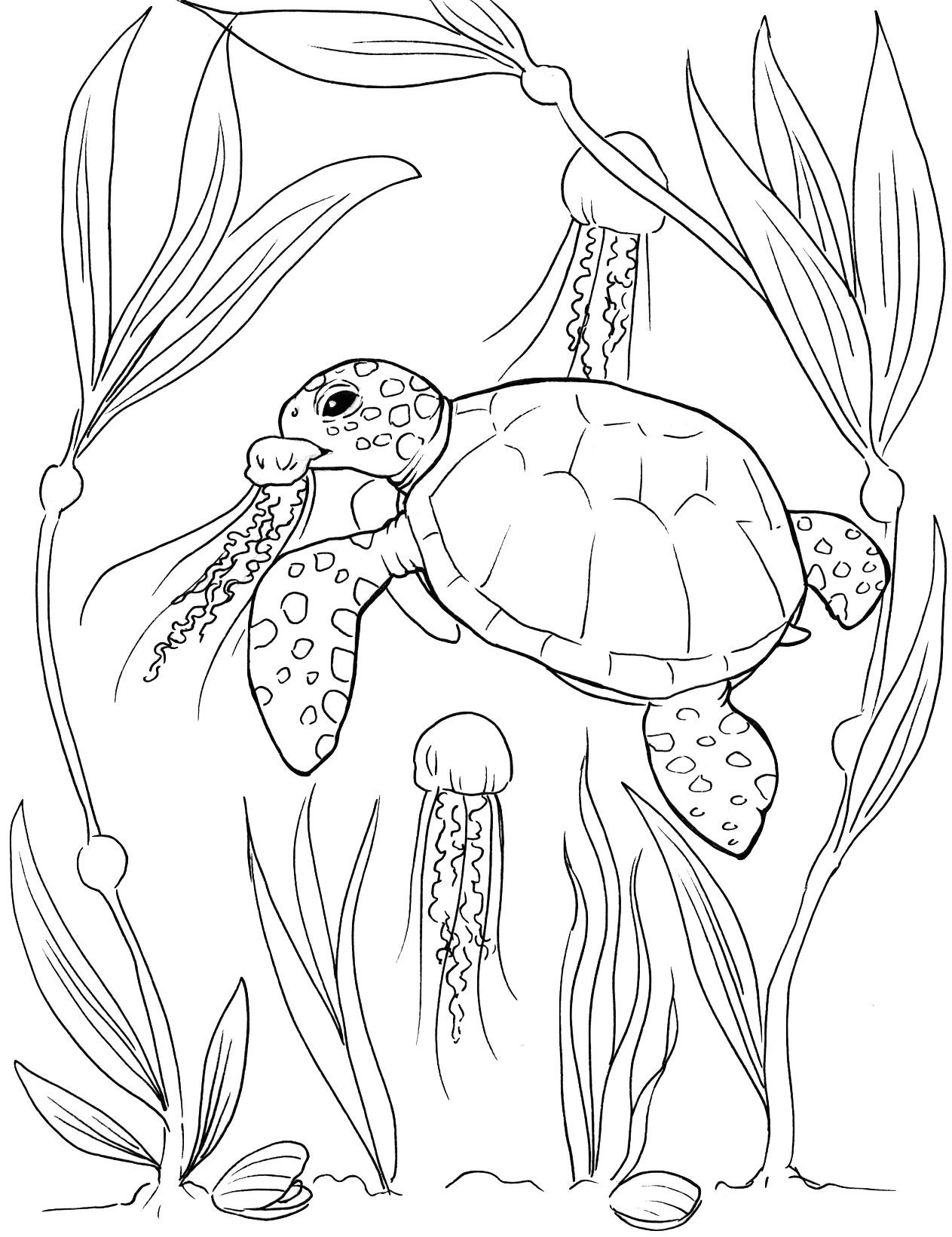 Sea Turtle Coloring Pages Etsy Sea Turtle Coloring Pages Etsy