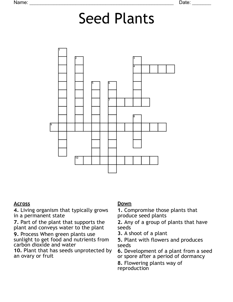 Seed Cover Crossword 4 Letters Letters Seed Cover Crossword 4 Letters Letters