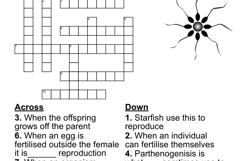 Asexual Crossword Clue