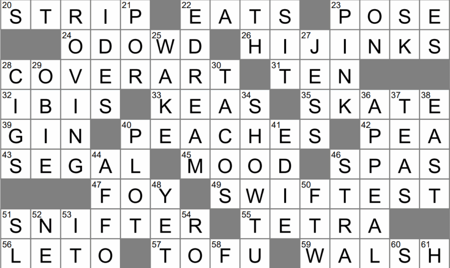 Shenanigans Crossword Clue