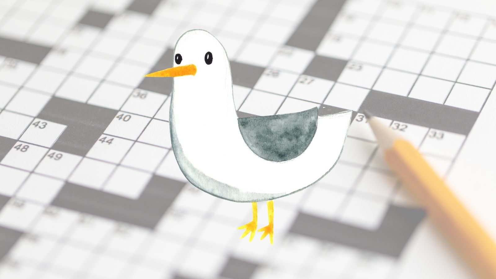 wading bird crossword clue wading bird crossword clue