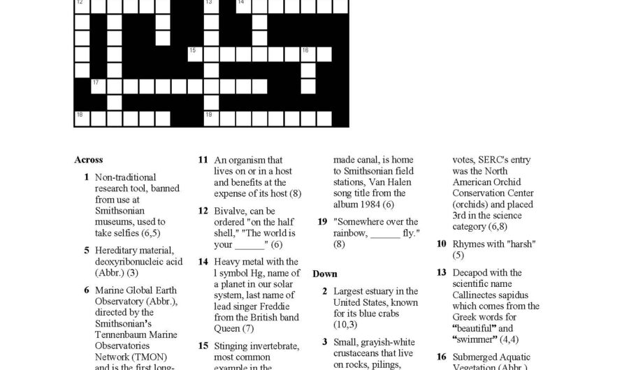 Flair Crossword Clue