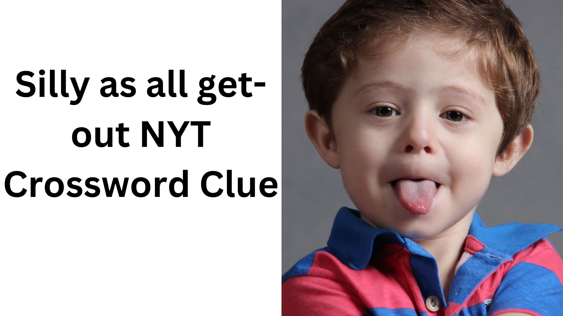 Silly As All Get out NYT Crossword Clue November 7 2024 Silly As All Get out NYT Crossword Clue November 7 2024