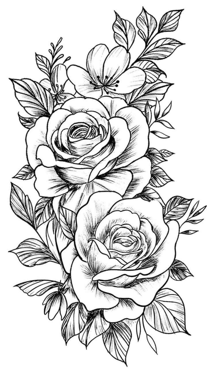Simple And Elegant Black And White Drawing Of Roses Simple And Elegant Black And White Drawing Of Roses