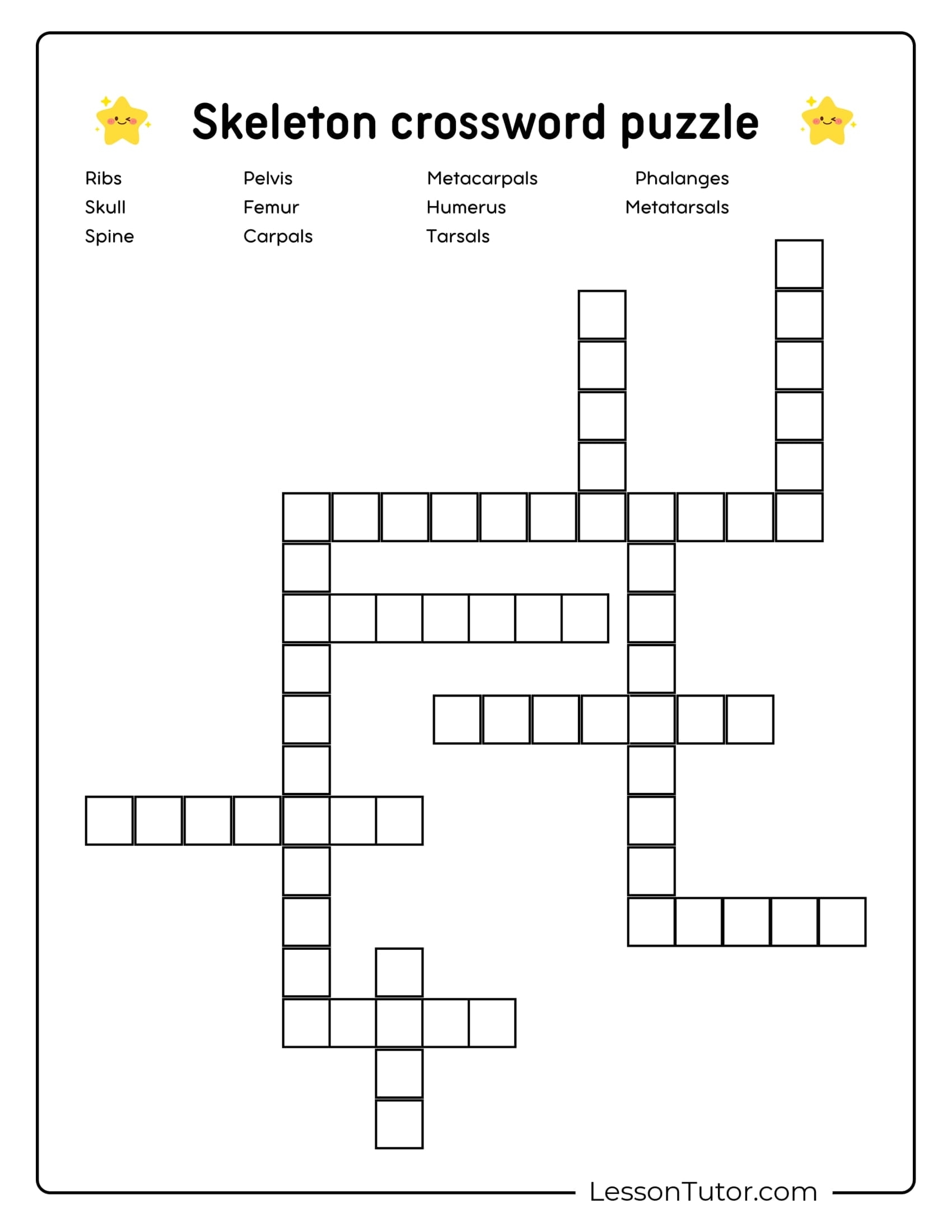 pelvic bones crossword pelvic bones crossword