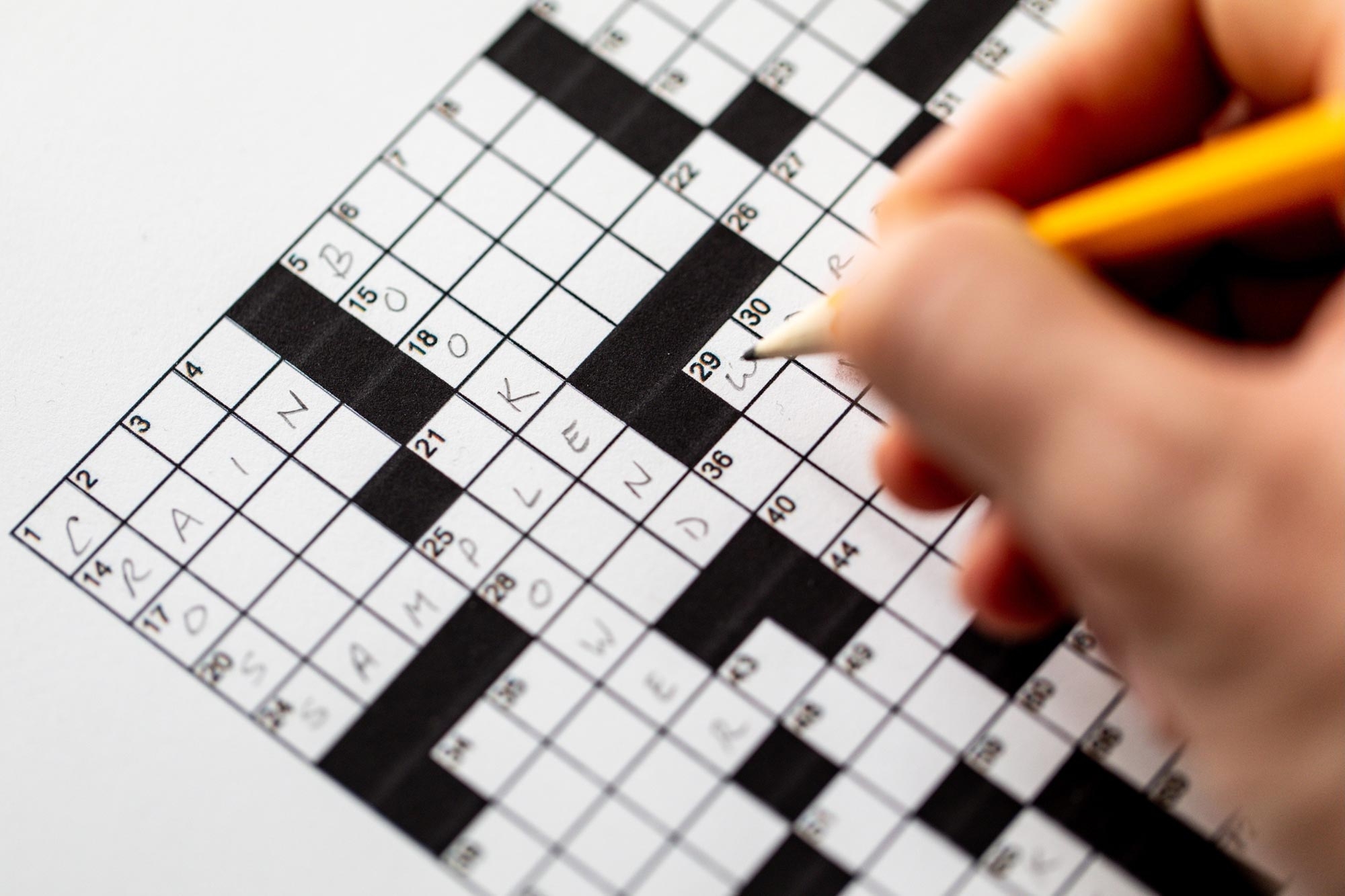 Slowing Memory Loss Crossword Puzzles Beat Cognitive Computer Video Games Slowing Memory Loss Crossword Puzzles Beat Cognitive Computer Video Games