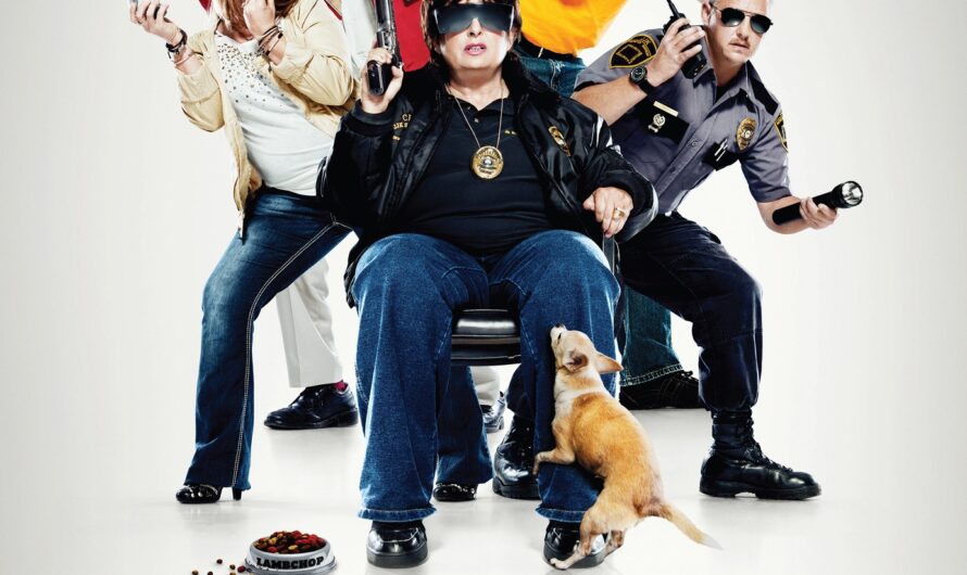 Small Town Security Network Crossword