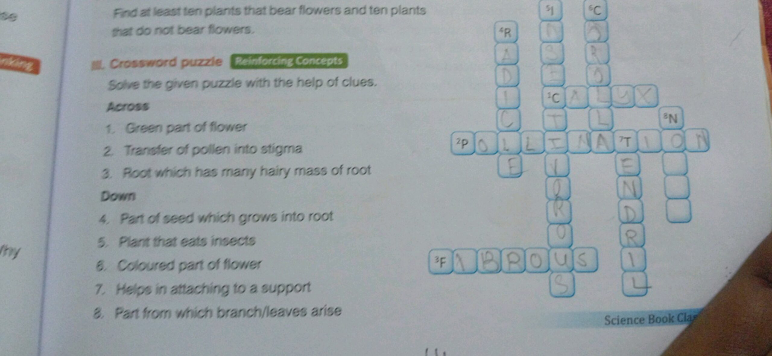 Solve The Given Crossword Puzzle With The Help Of Clues Across Green Pa Solve The Given Crossword Puzzle With The Help Of Clues Across Green Pa