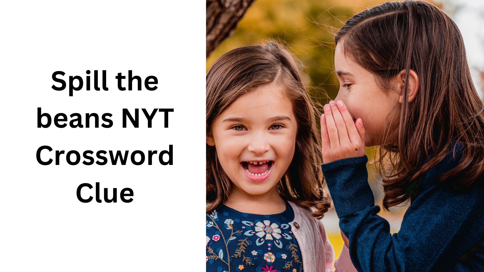 Spill The Beans NYT Crossword Clue October 7 2024 Spill The Beans NYT Crossword Clue October 7 2024