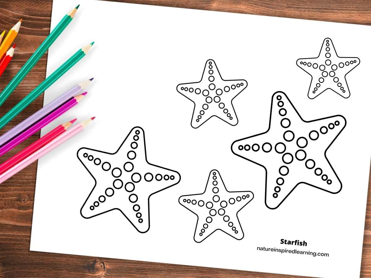 Starfish Coloring Pages Nature Inspired Learning Starfish Coloring Pages Nature Inspired Learning