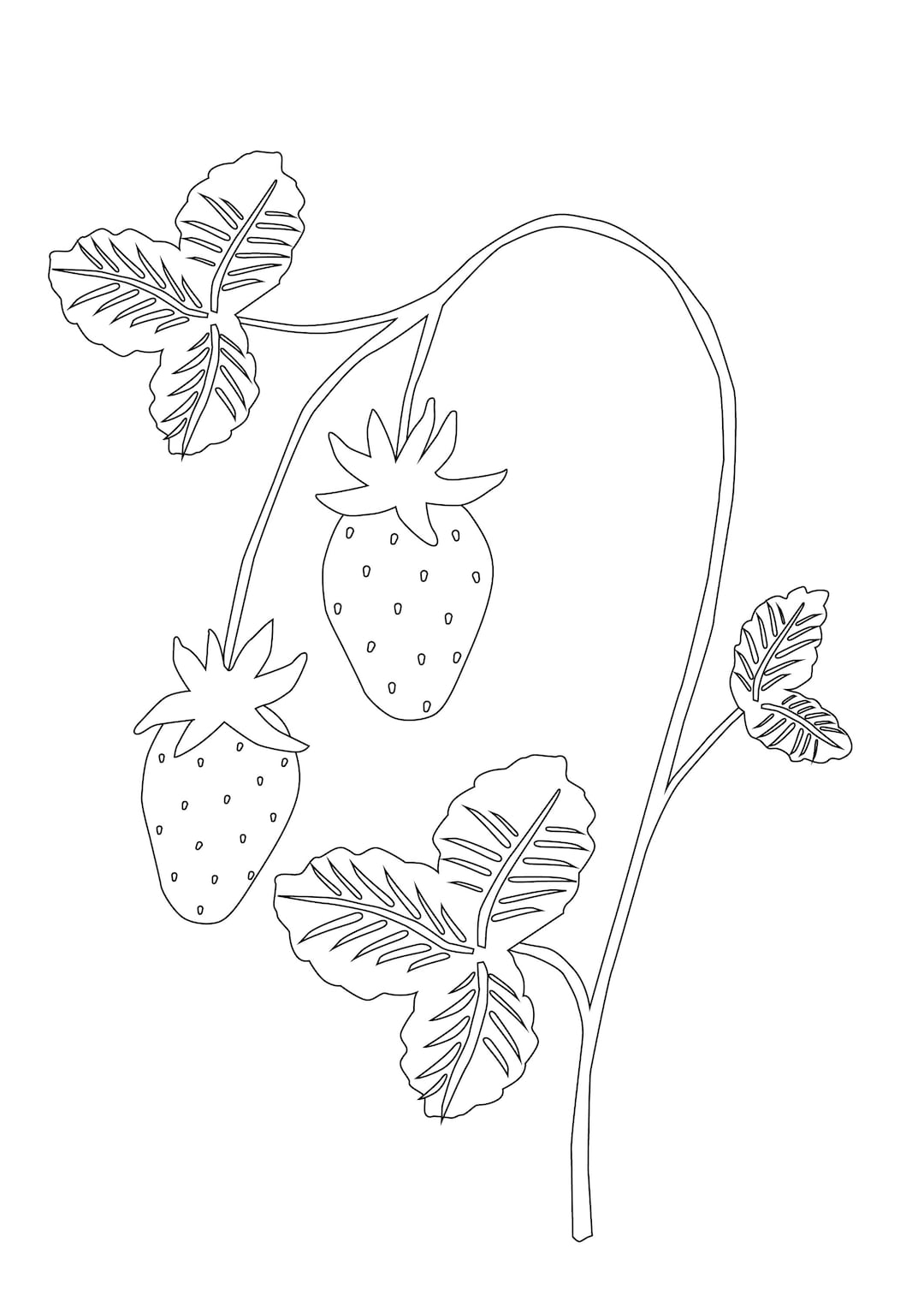Strawberries Colouring Page Etsy