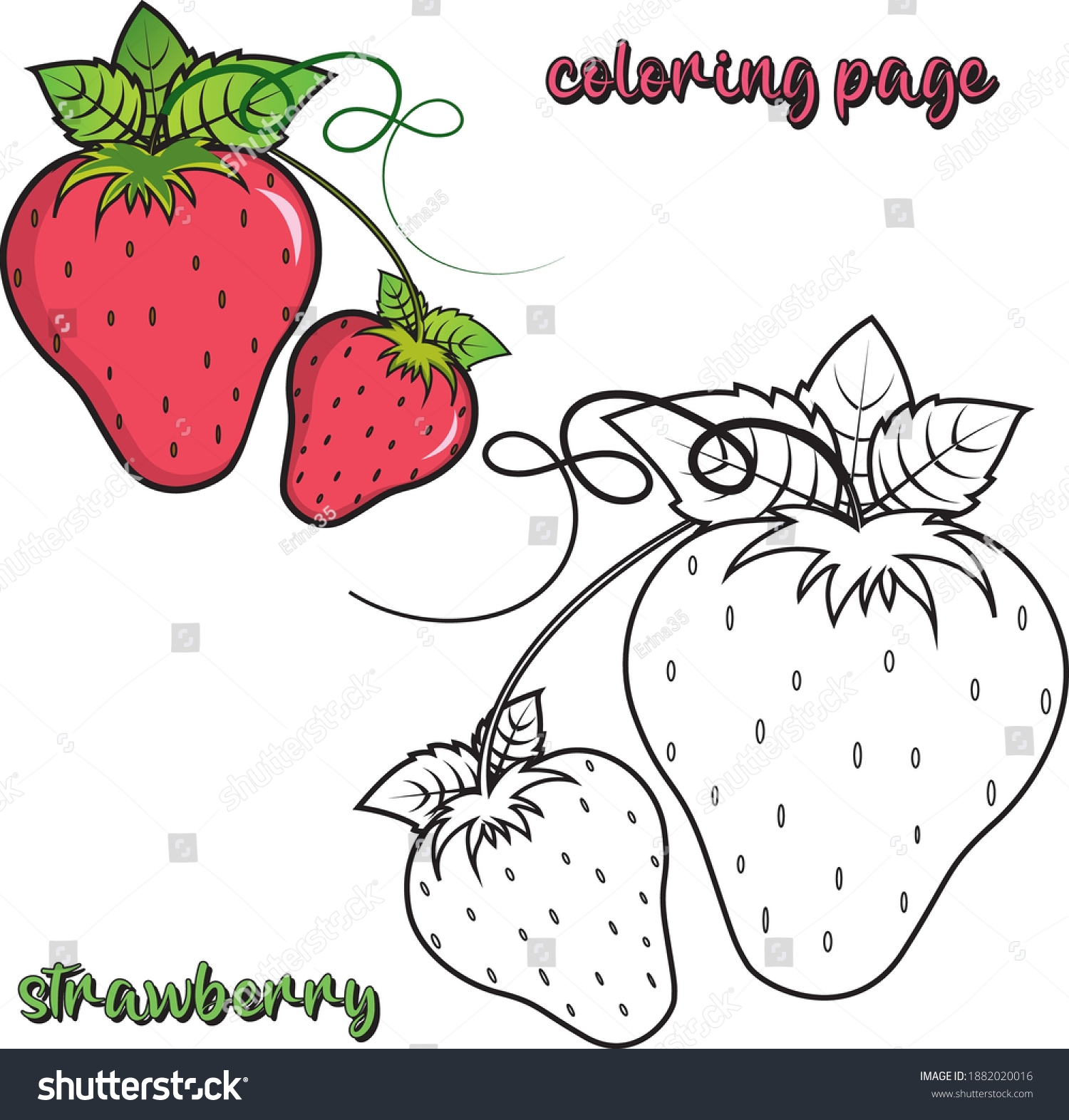 coloring picture of a strawberry coloring picture of a strawberry