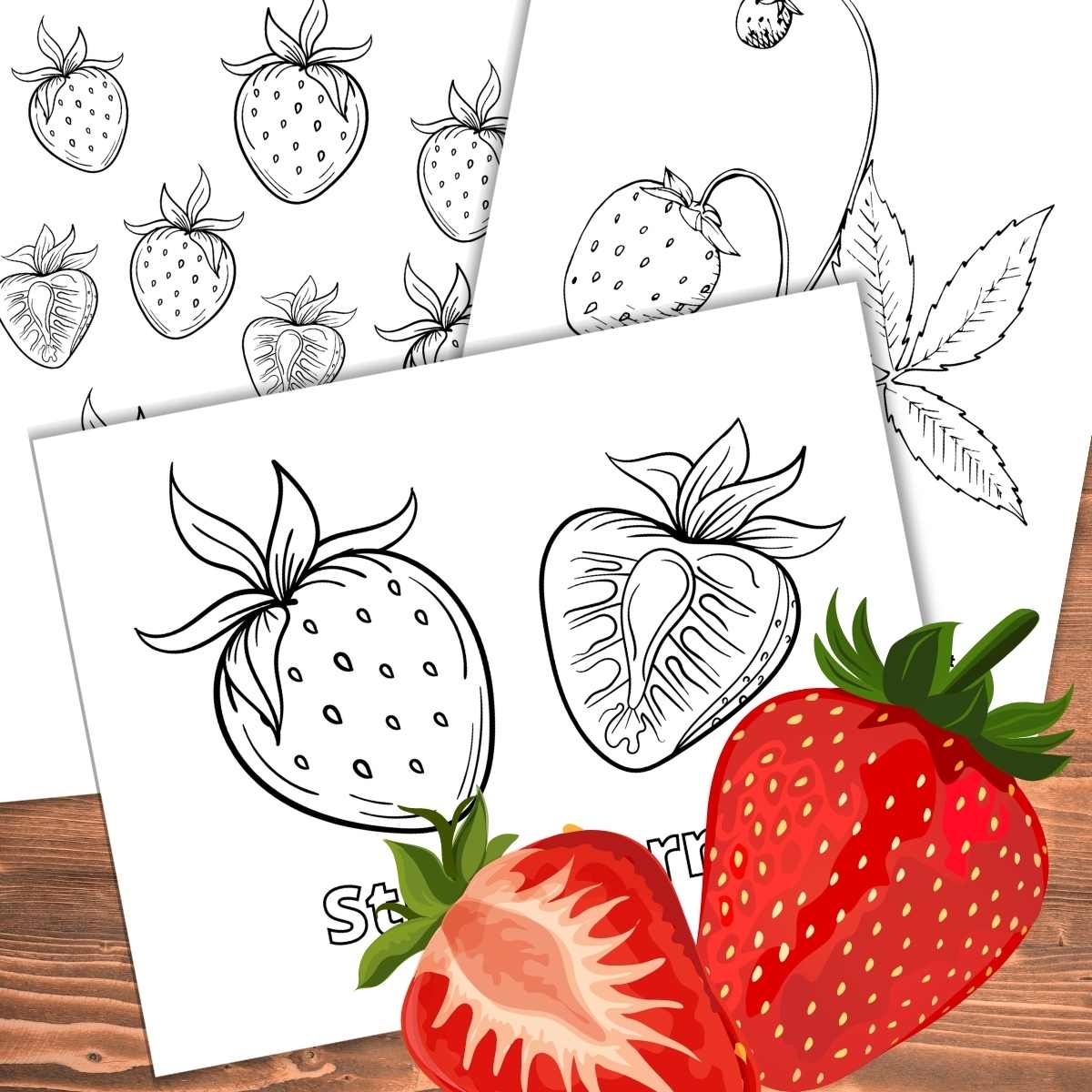 Strawberry Coloring Pages Nature Inspired Learning Strawberry Coloring Pages Nature Inspired Learning