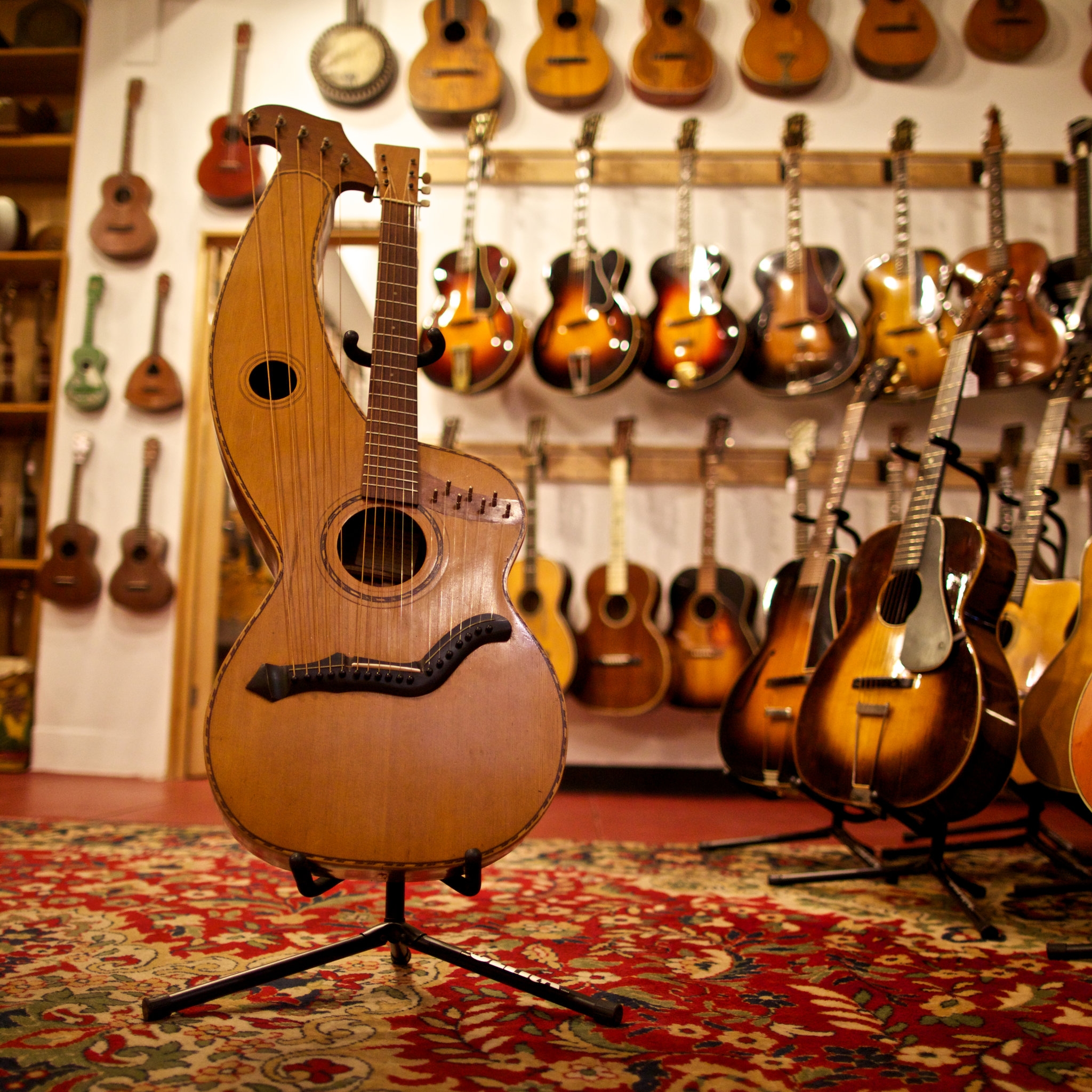 Stringed Instrument Crossword Amynpamzafinub1981 s Ownd Stringed Instrument Crossword Amynpamzafinub1981 s Ownd