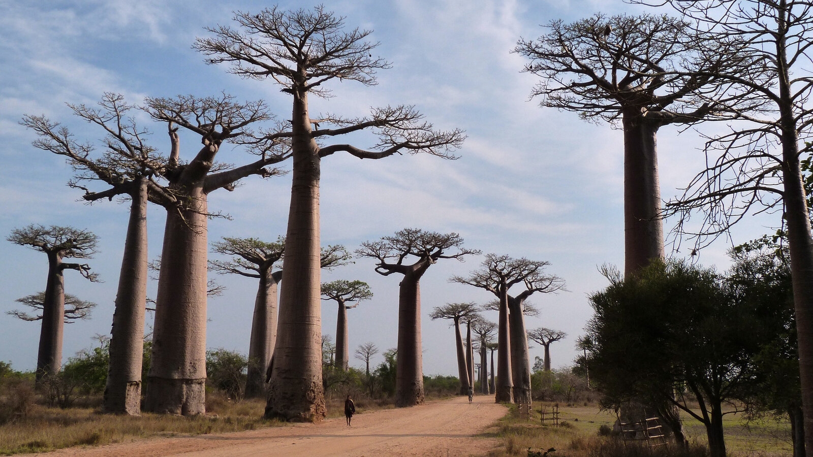 Stuff In Microdots The New York Times Stuff In Microdots The New York Times