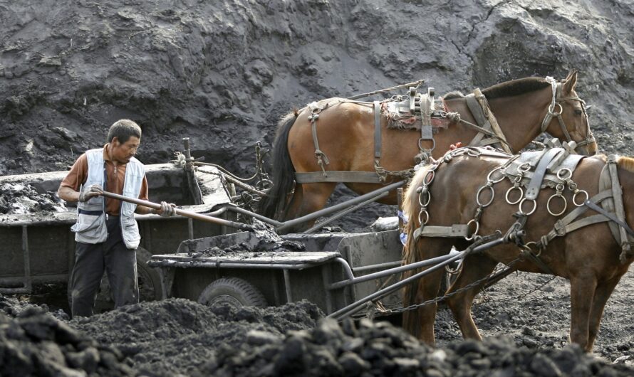 Horse Drawn Carriage Crossword Clue