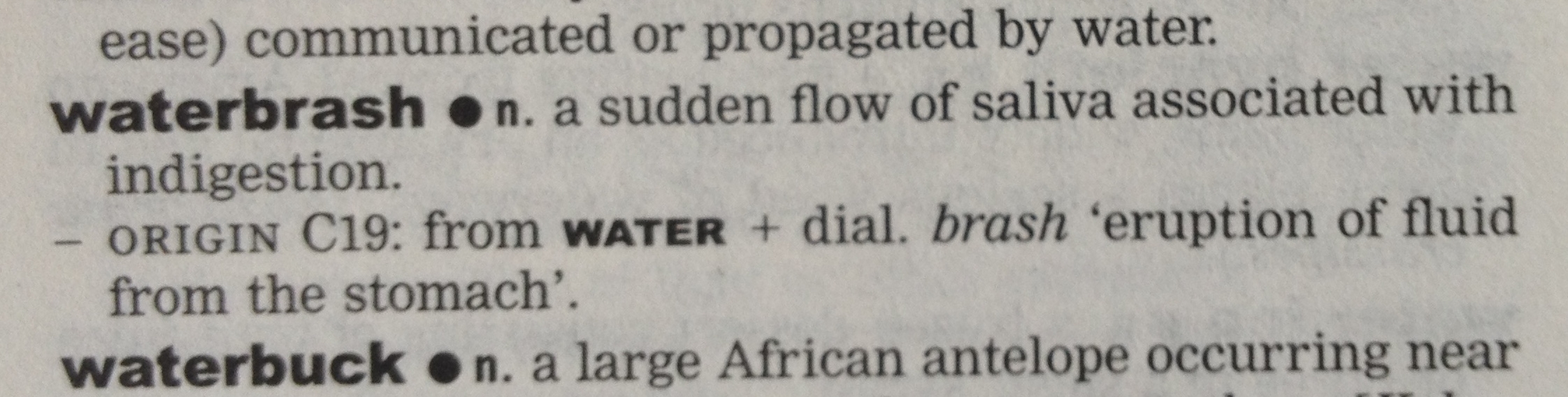 The Allusionist The Allusionist