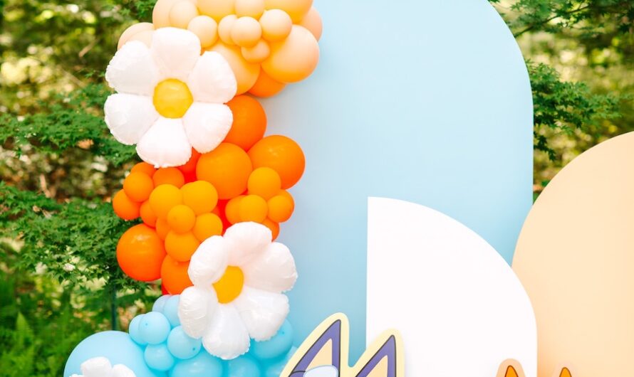 Bluey Birthday Party Ideas