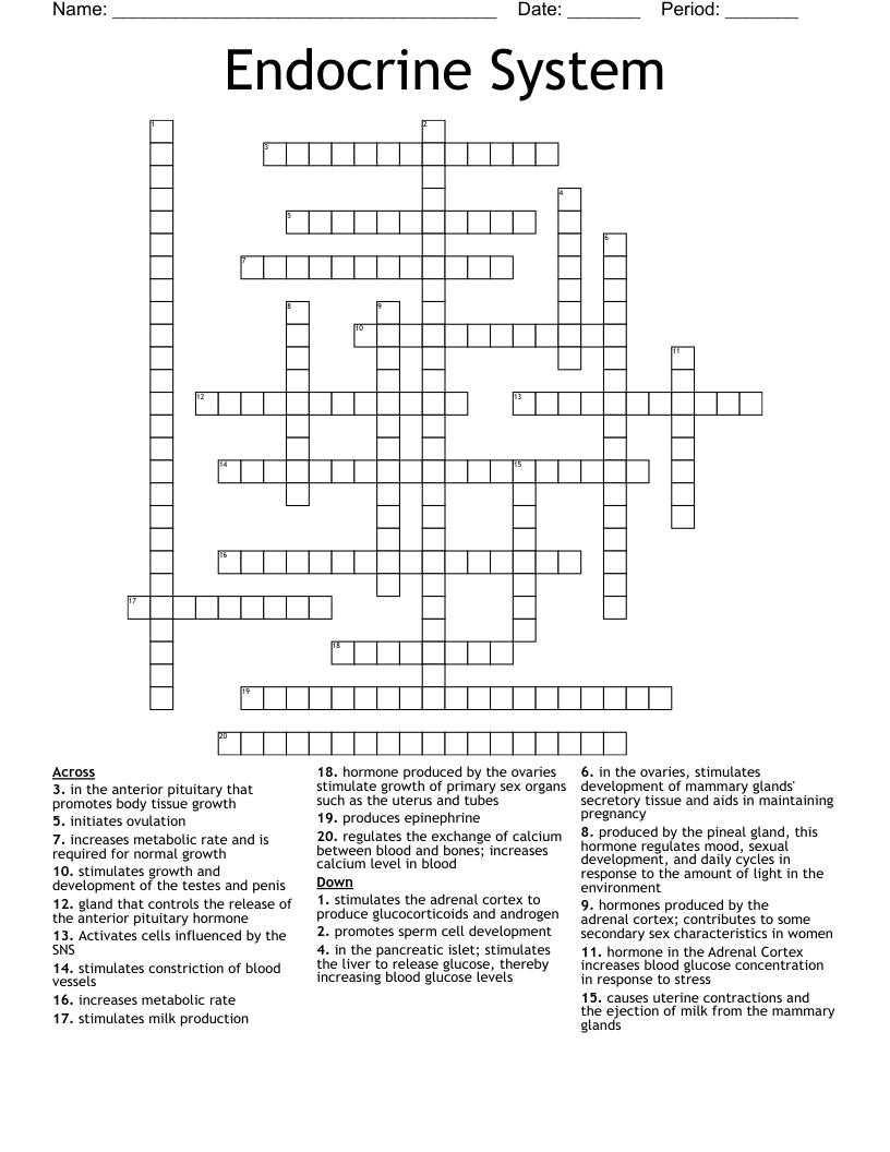 The Endocrine Glands And Their Hormone Crossword WordMint The Endocrine Glands And Their Hormone Crossword WordMint