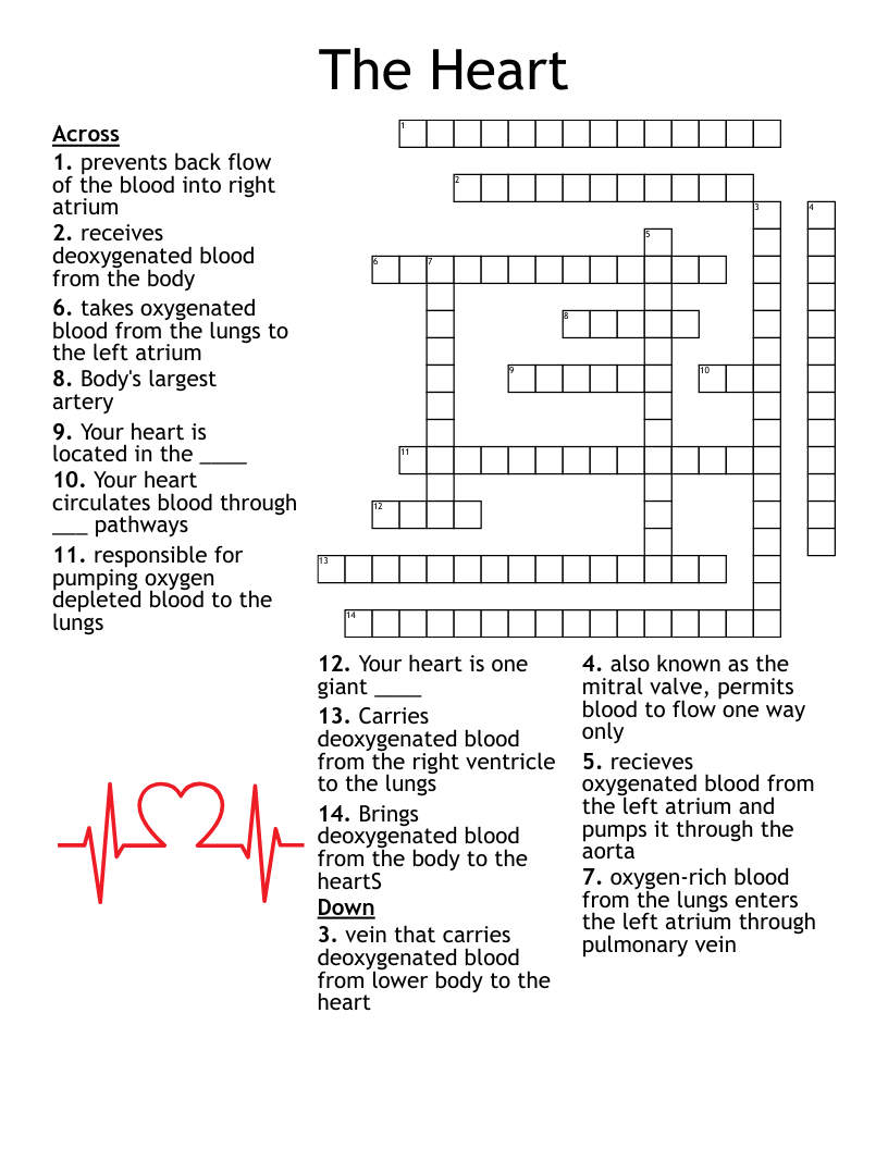 only crossword clue only crossword clue