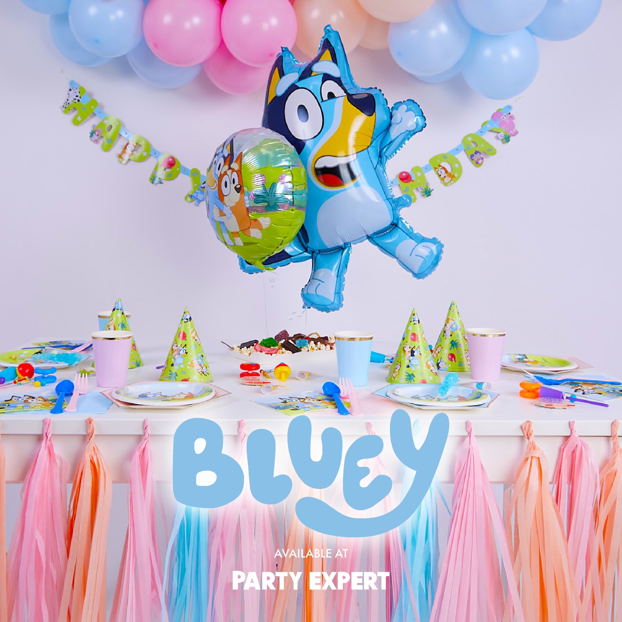 The Ultimate Guide To Bluey Birthday Party Supplies Party Expert The Ultimate Guide To Bluey Birthday Party Supplies Party Expert