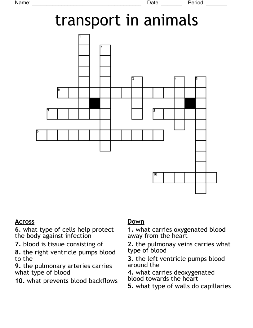 Transport In Animals Crossword WordMint Transport In Animals Crossword WordMint