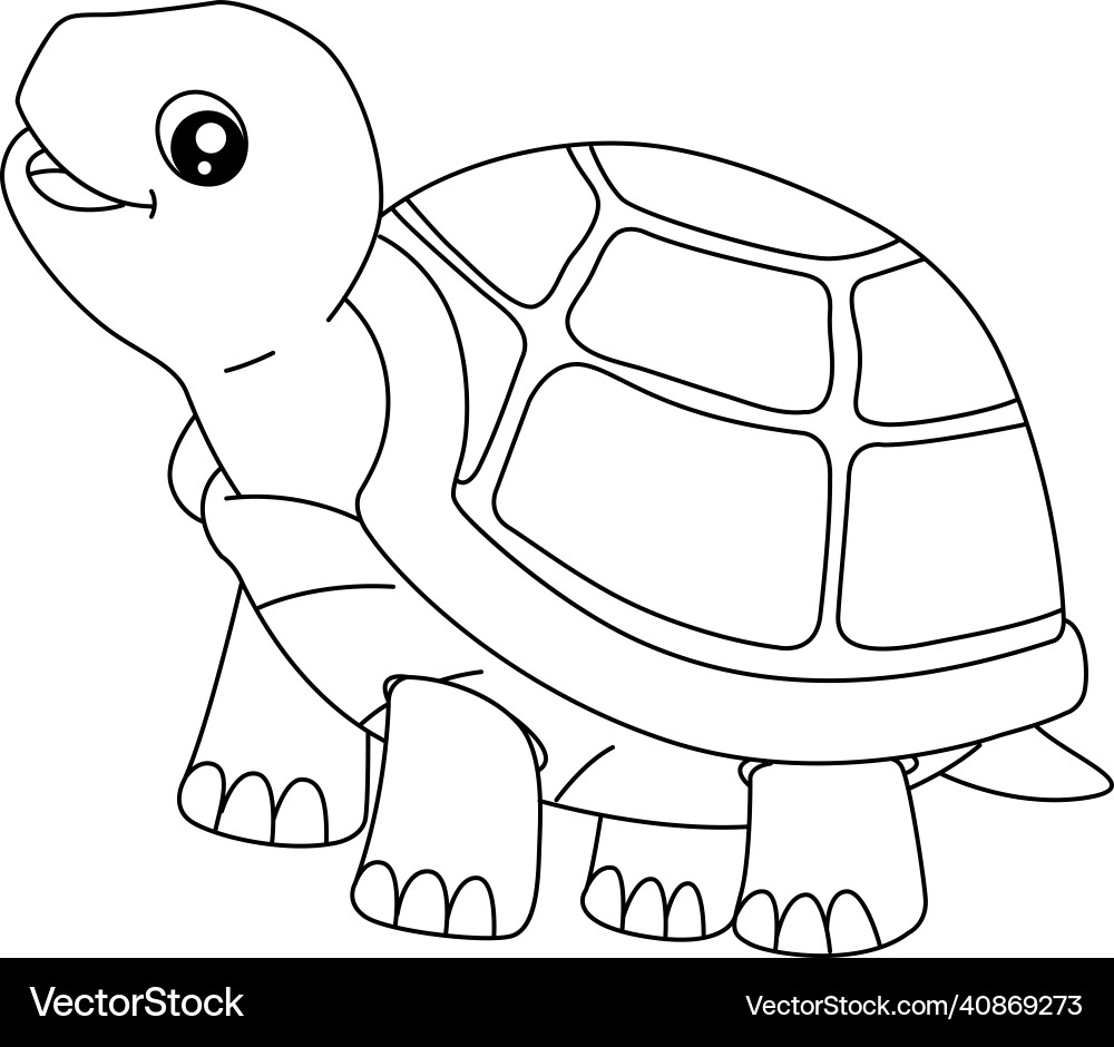 Turtle Coloring Page For Isolated Kids Royalty Free Vector Turtle Coloring Page For Isolated Kids Royalty Free Vector