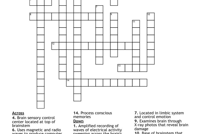 Center Of Activity Crossword Clue
