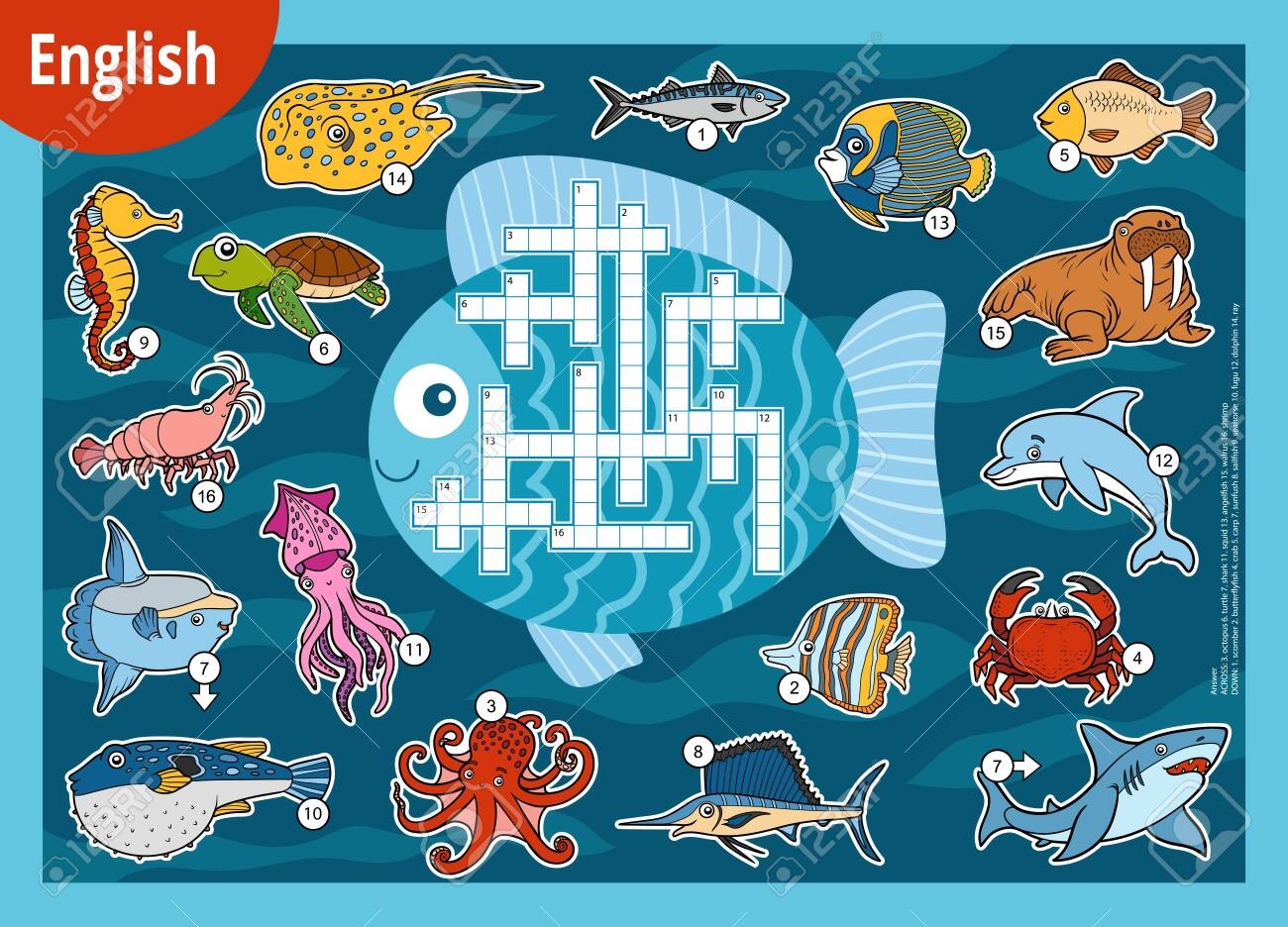 Vector Colorful Crossword In English Education Game For Children Cartoon Set Of Sea Animals Royalty Free SVG Cliparts Vectors And Stock Illustration Image 139188997 Vector Colorful Crossword In English Education Game For Children Cartoon Set Of Sea Animals Royalty Free SVG Cliparts Vectors And Stock Illustration Image 139188997