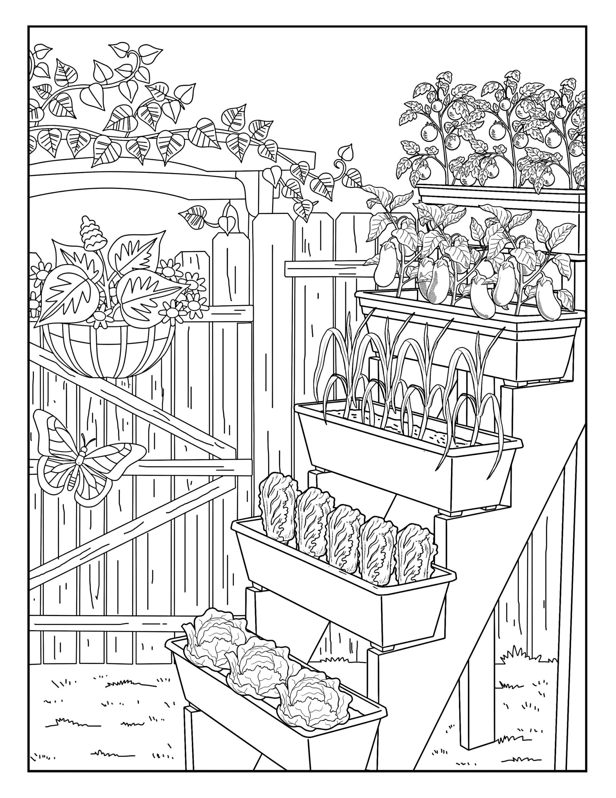 Vegetable Garden garden Gallery Coloring Pages For Adults 1 Printable Coloring Page Instant Download PDF Etsy Vegetable Garden garden Gallery Coloring Pages For Adults 1 Printable Coloring Page Instant Download PDF Etsy