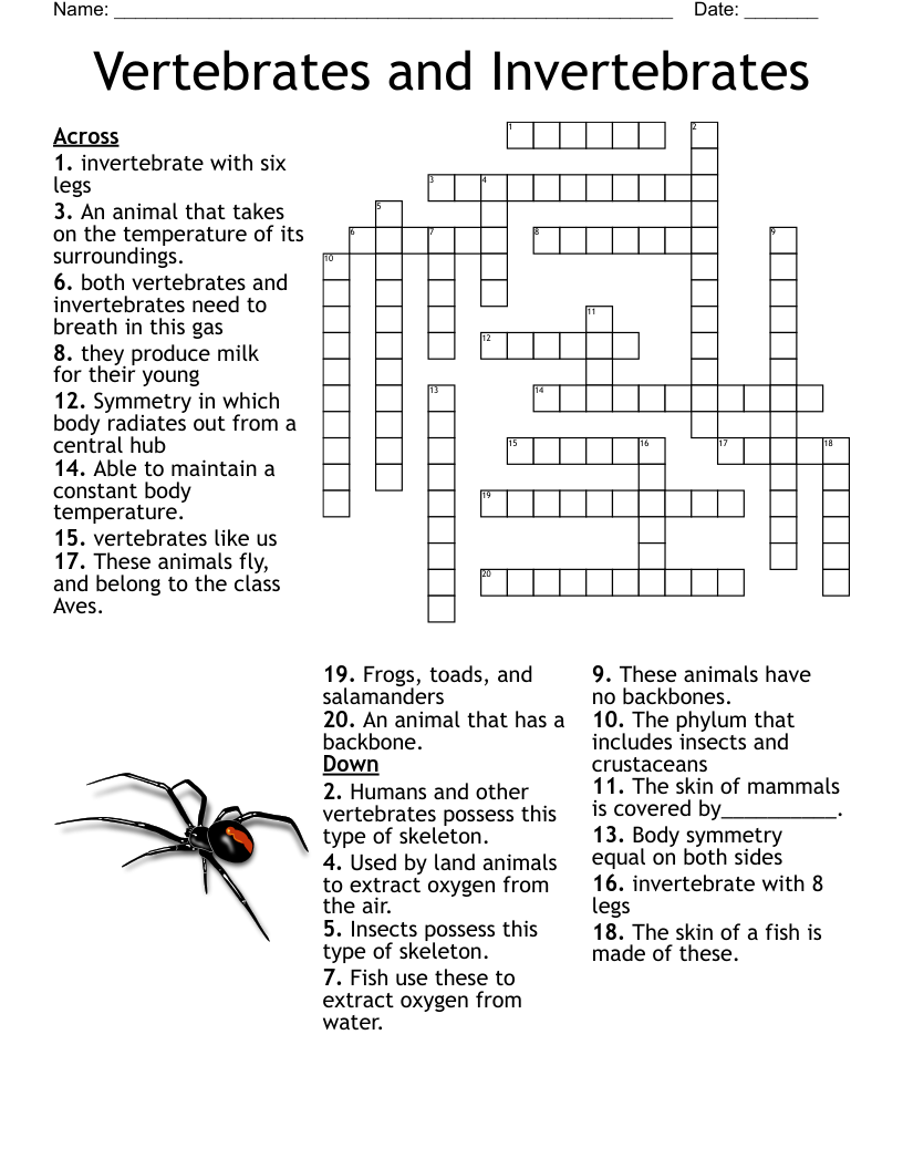 Vertebrates And Invertebrates Crossword WordMint Vertebrates And Invertebrates Crossword WordMint