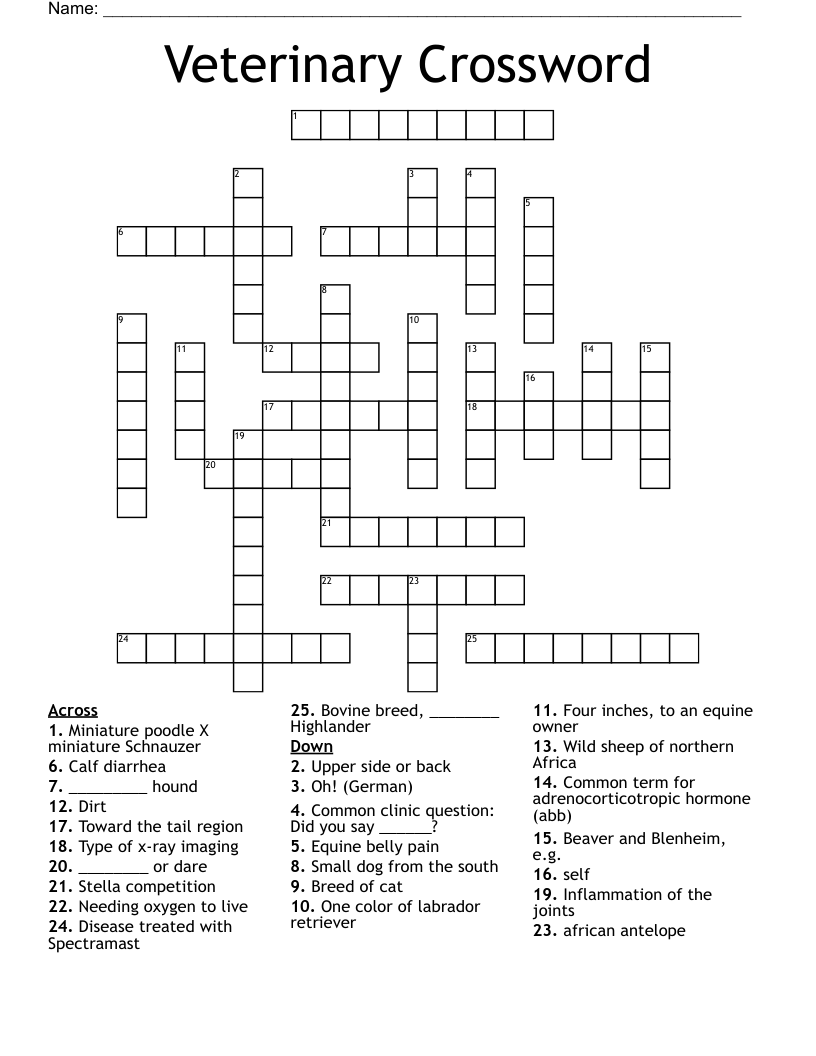 Veterinary Crossword WordMint Veterinary Crossword WordMint