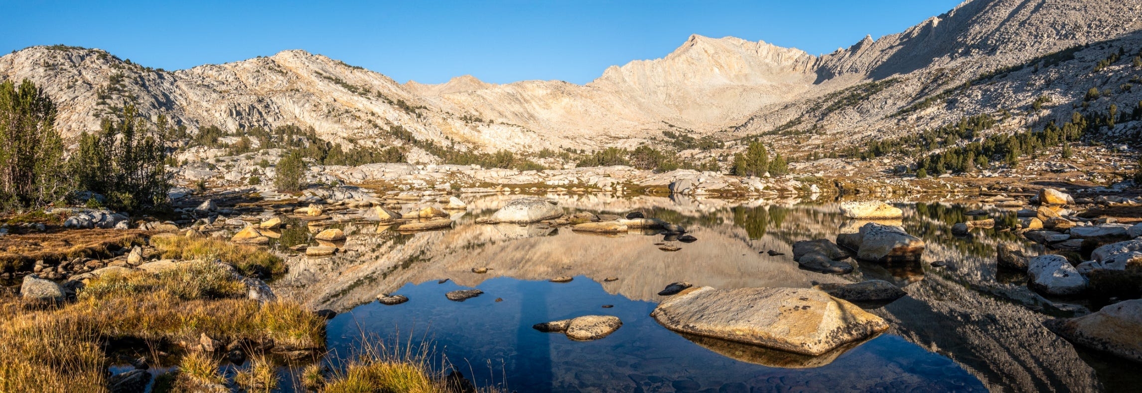 VFYW An Intoxicating View By Chris Bodenner