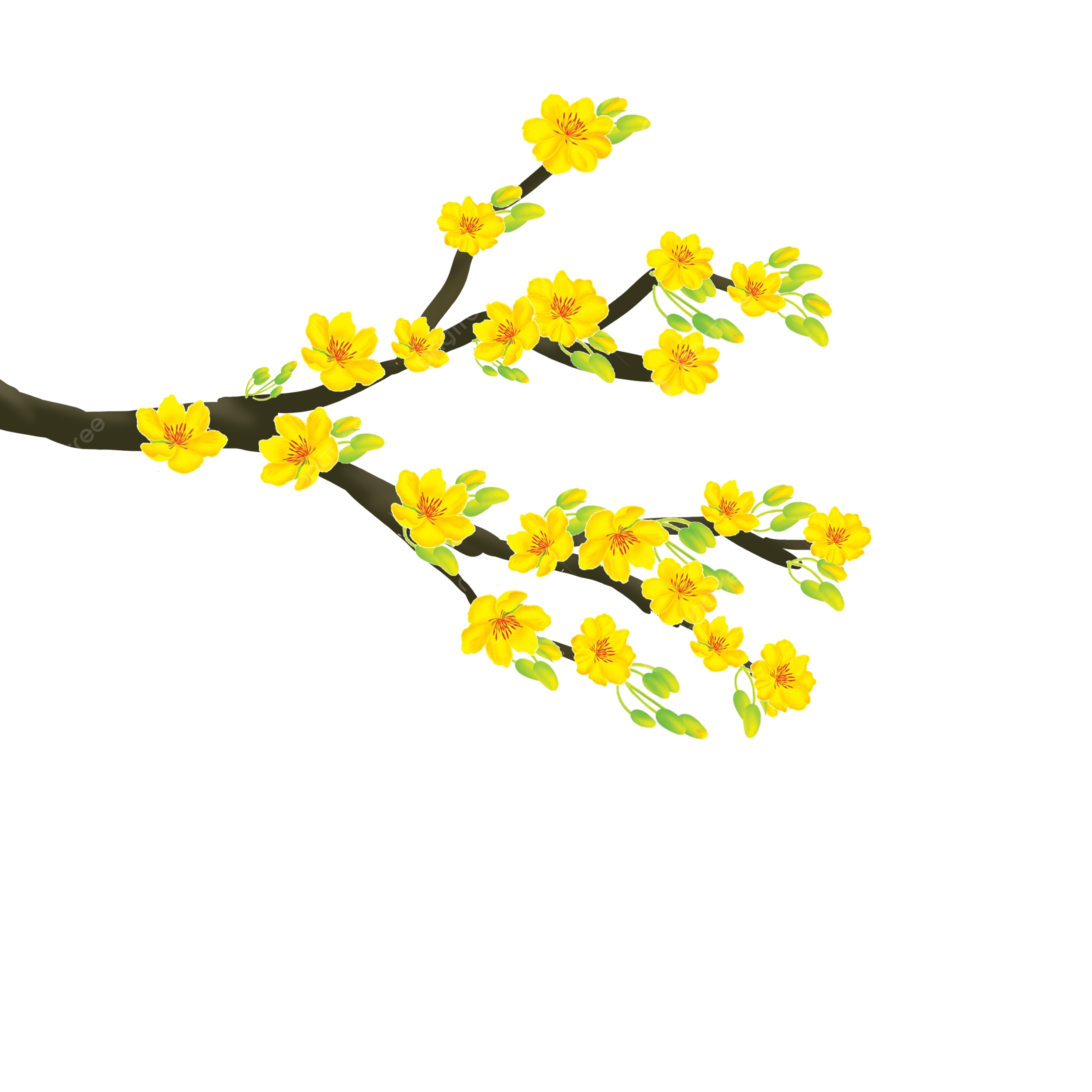 vietnamese new year crossword clue vietnamese new year crossword clue