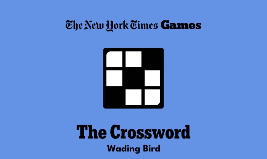 Wading Birds Crossword Clue
