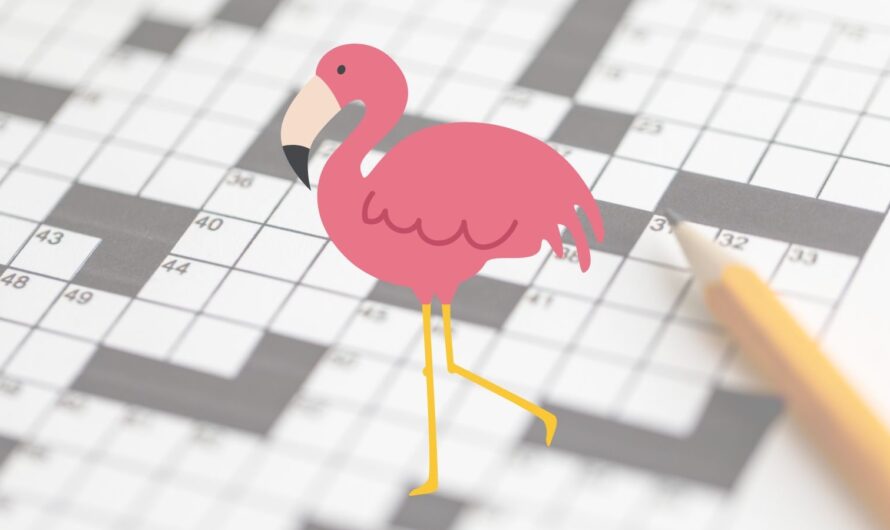 Marsh Bird Crossword Clue