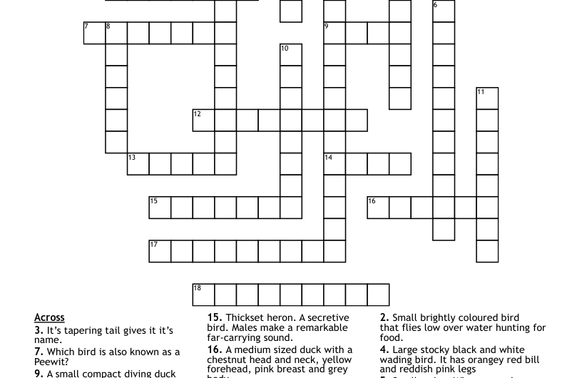 Crossword Clue For Wading Bird