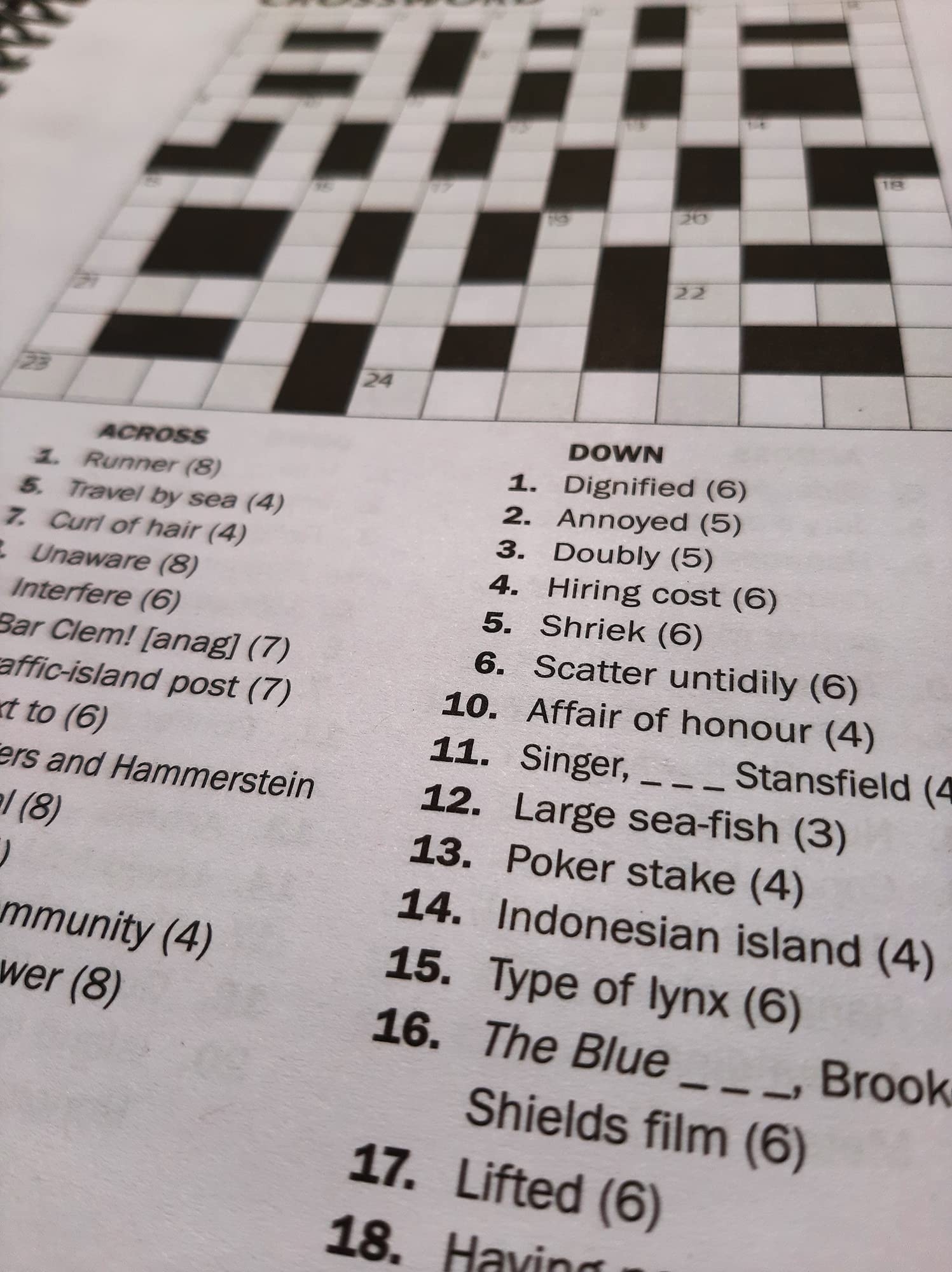 WF Graham Crossword Puzzle Book For Adults Spiral Bound Brain Teasers Travel Puzzles Book With Over 300 Puzzles Buy Online At Best Price In UAE Amazon ae WF Graham Crossword Puzzle Book For Adults Spiral Bound Brain Teasers Travel Puzzles Book With Over 300 Puzzles Buy Online At Best Price In UAE Amazon ae