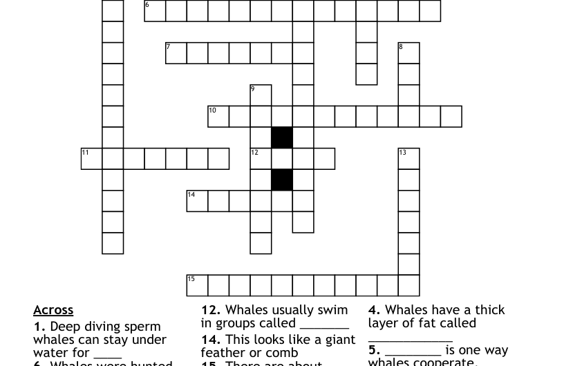 Groups Of Whales Crossword Clue
