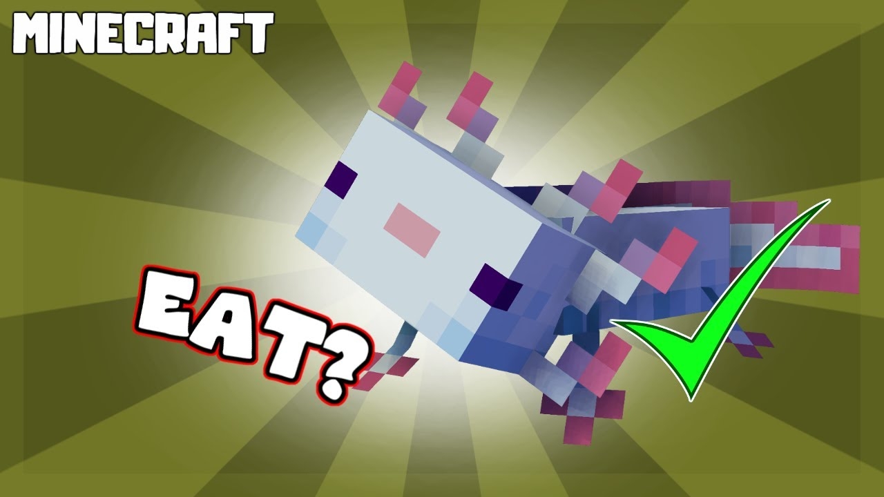 What Do Axolotls Eat In Minecraft 1 17 1 YouTube