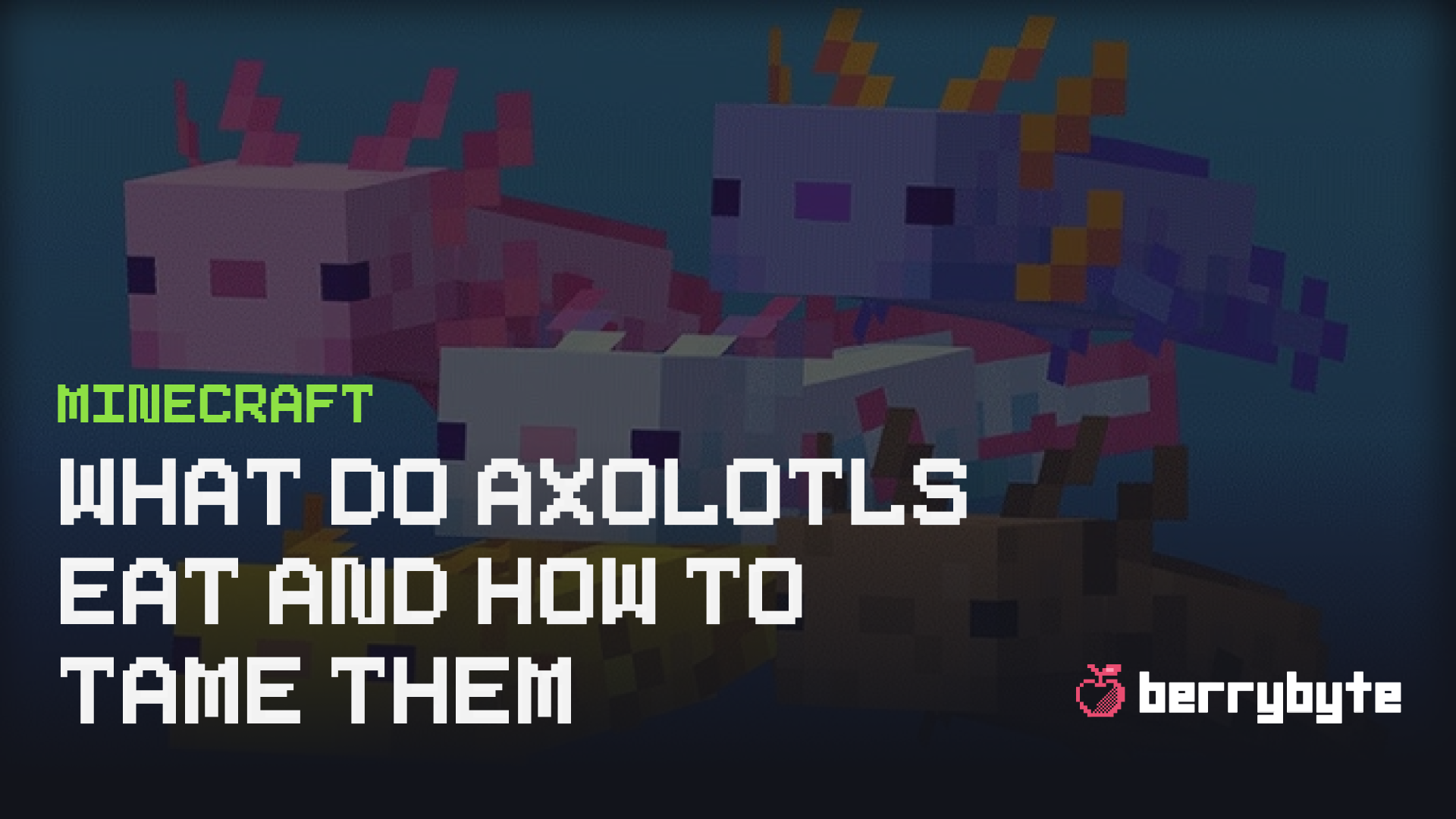 What Do Axolotls Eat In Minecraft And How To Tame Them What Do Axolotls Eat In Minecraft And How To Tame Them