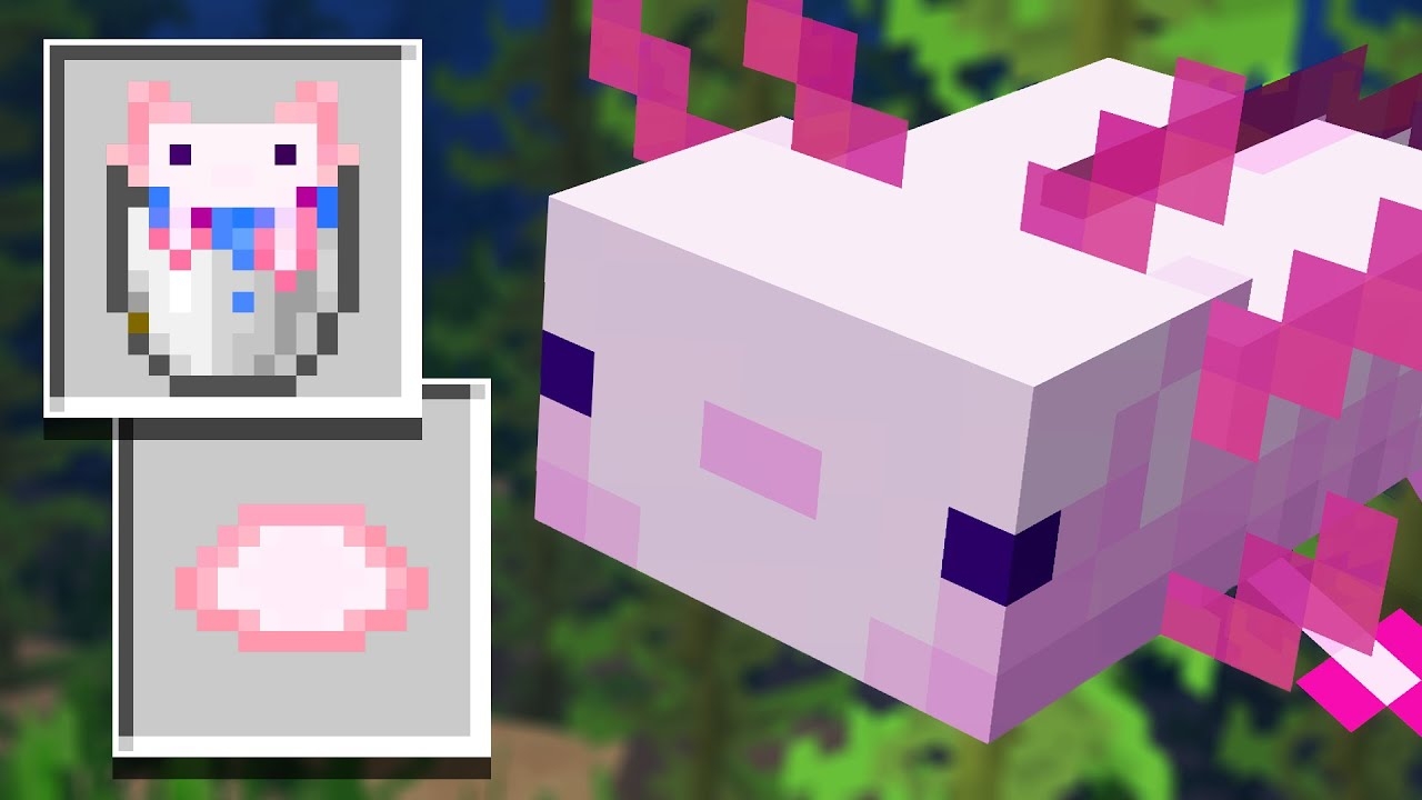 what does axolotl eat in minecraft what does axolotl eat in minecraft