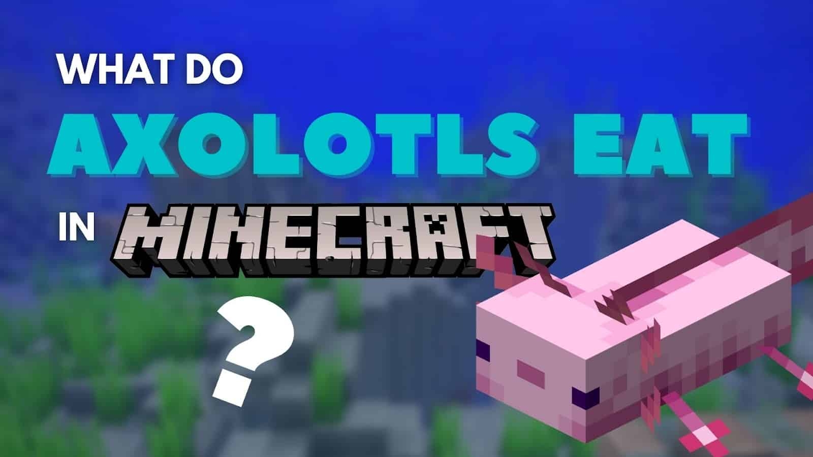 What Do Axolotls Eat In Minecraft The Lost Gamer What Do Axolotls Eat In Minecraft The Lost Gamer