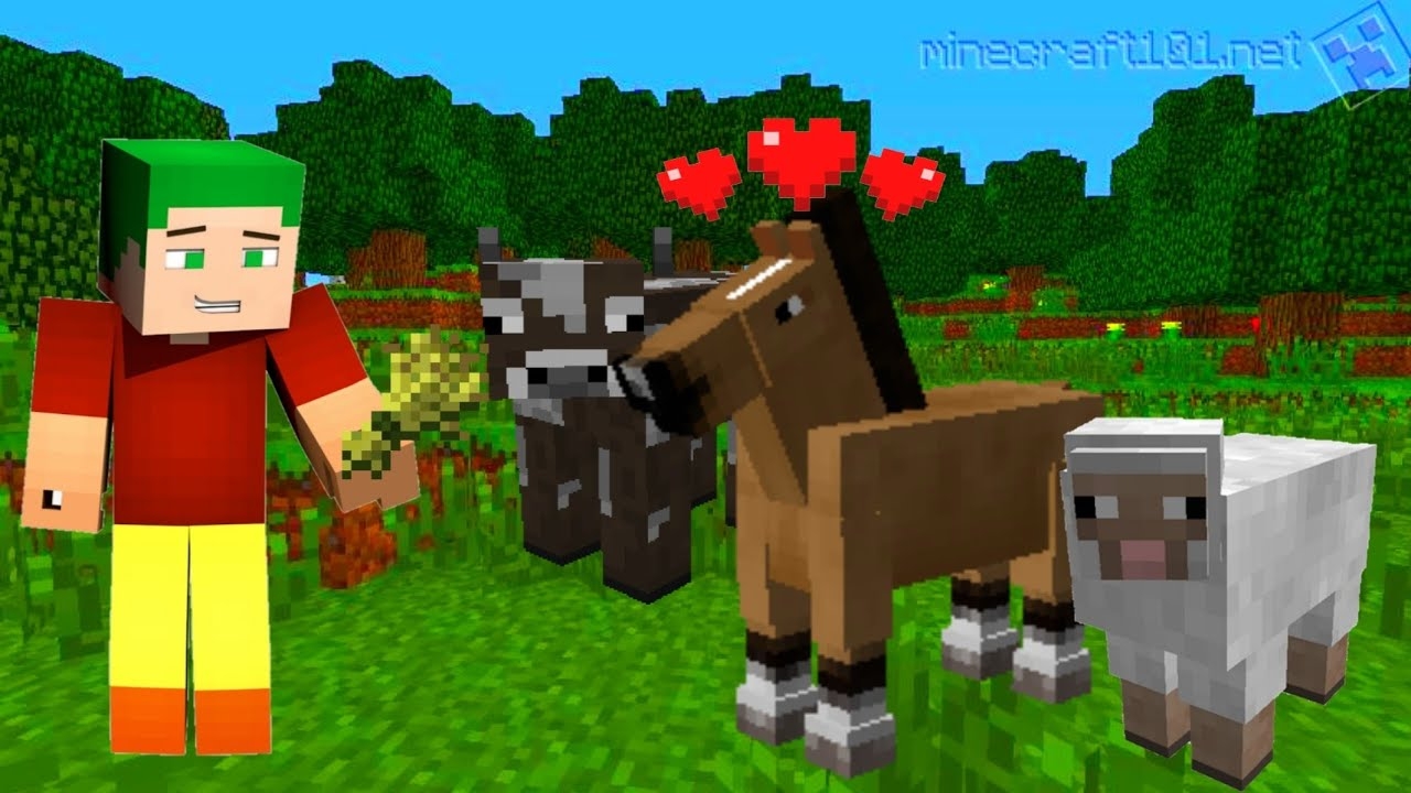 What Do Horses Eat In Minecraft And Other Animals YouTube What Do Horses Eat In Minecraft And Other Animals YouTube