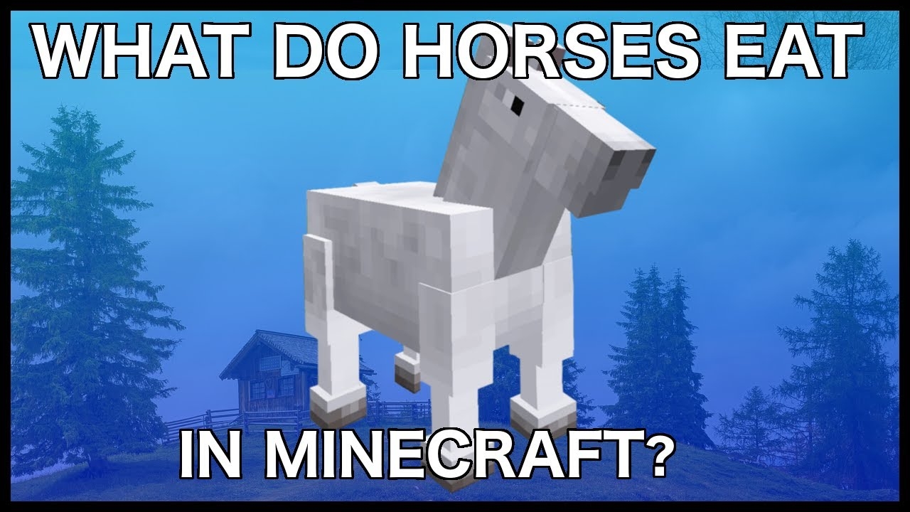 What Do Horses Eat In Minecraft YouTube