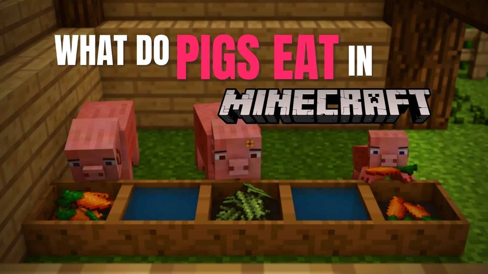what do pigs eat in minecraft what do pigs eat in minecraft