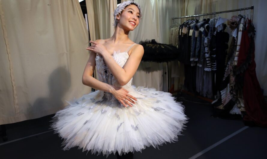 Swan Lake Role Crossword