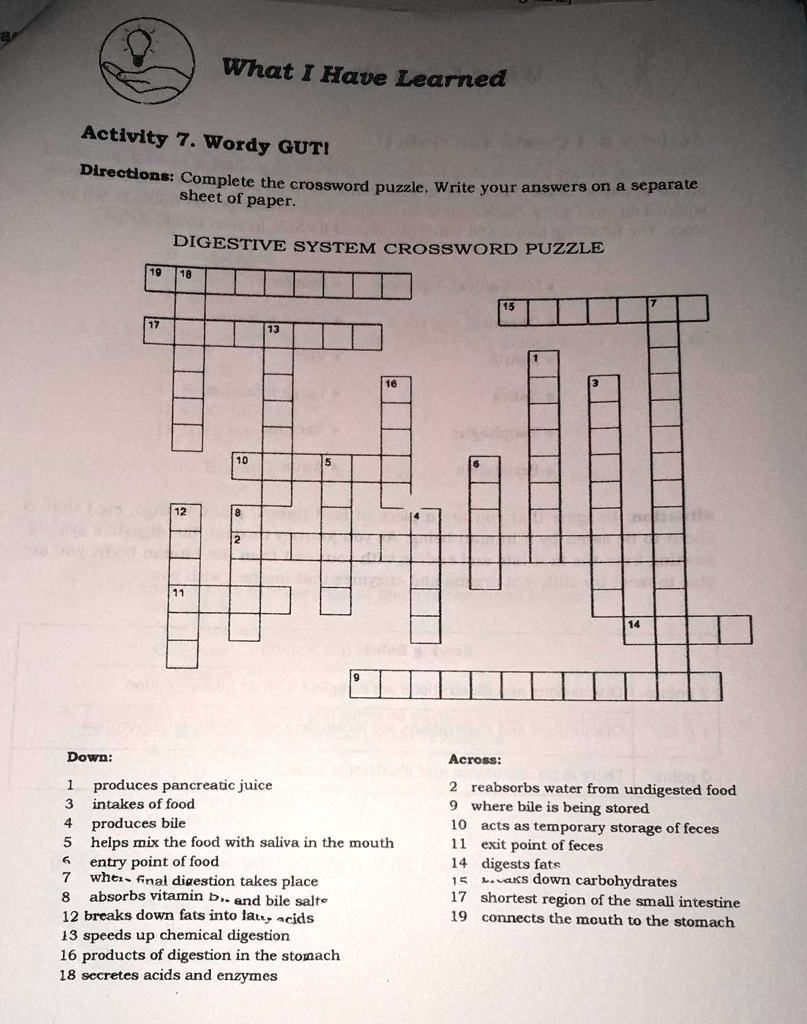 What I Have Learned Activity 7 Wordy GUT Directions Complete The Crossword Puzzle Write Your Answers What I Have Learned Activity 7 Wordy GUT Directions Complete The Crossword Puzzle Write Your Answers